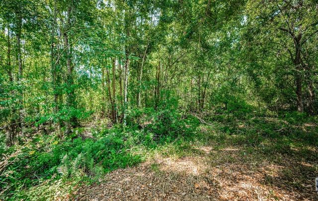 19610 SUNSET BAY DRIVE, Land O Lakes, FL 34638
