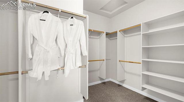 4550 Captain Jack Lane, Colorado Springs, CO 80924