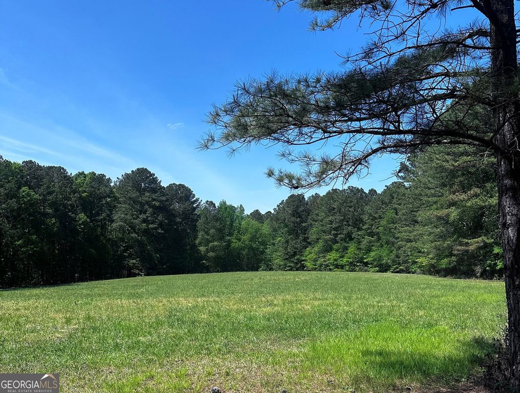 0 Wilkerson Mill Road, Palmetto, GA 30268