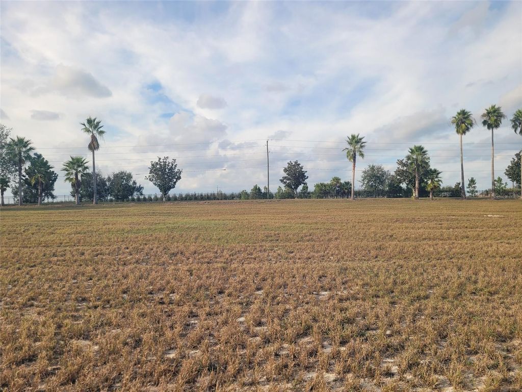 7425 JASMINE STREET, Groveland, FL 34736