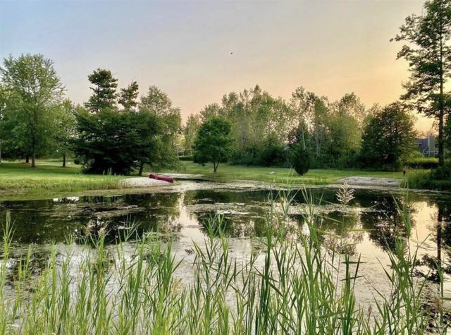 5553 Hidden Pond Lane, Sawyer, MI 49125
