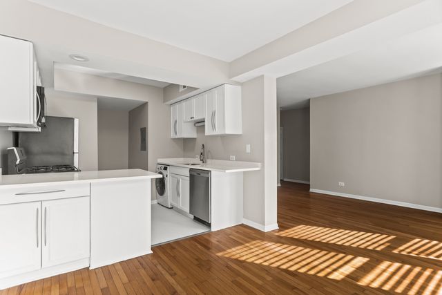 4525 S Drexel Boulevard 3W, Chicago, IL 60653