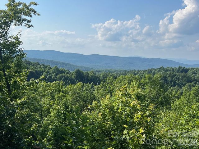 253 Falls Creek Drive, Nebo, NC 28761