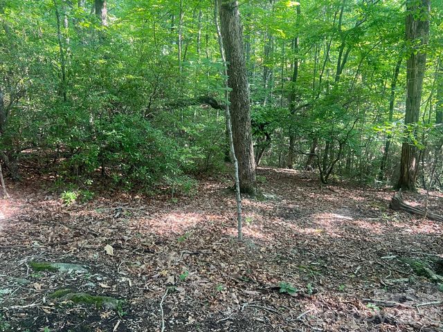 253 Falls Creek Drive, Nebo, NC 28761