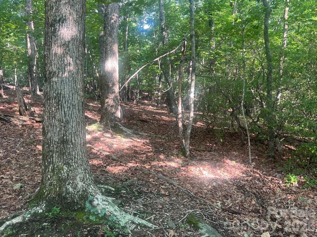 253 Falls Creek Drive, Nebo, NC 28761