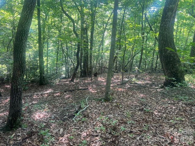 253 Falls Creek Drive, Nebo, NC 28761
