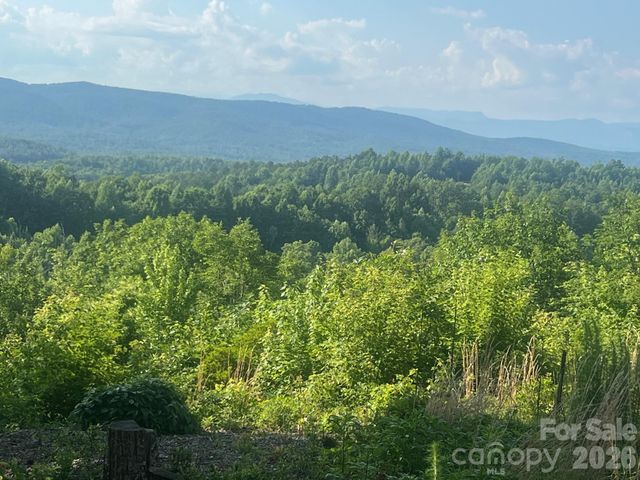 253 Falls Creek Drive, Nebo, NC 28761