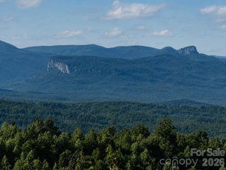 253 Falls Creek Drive, Nebo, NC 28761