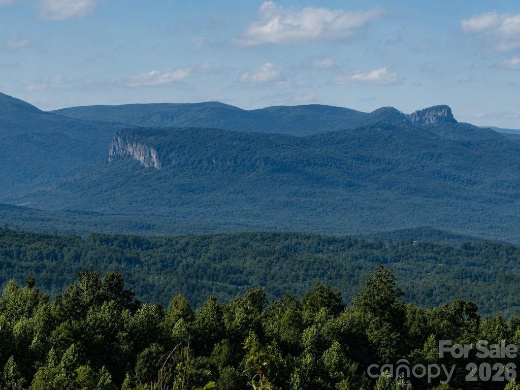 253 Falls Creek Drive, Nebo, NC 28761