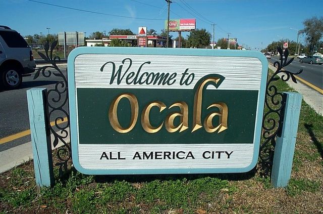 10043 SW 89TH COURT, Ocala, FL 34481