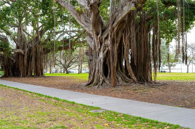 316 8TH STREET S 604, St Petersburg, FL 33701