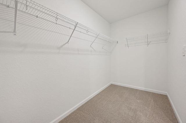 14202 SW New Dawn Road, Indiantown, FL 34956