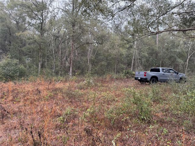 2795 SE 21ST AVENUE, Sumterville, FL 33585
