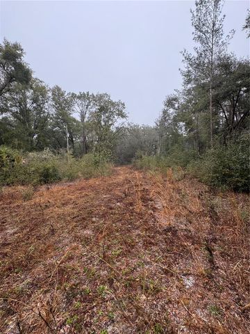 2795 SE 21ST AVENUE, Sumterville, FL 33585