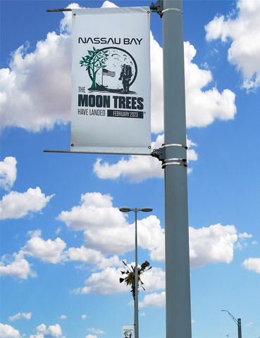 1880 Saxony Lane, Houston, TX 77058