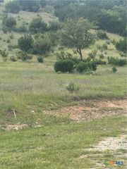 3013 Cottonwood Mesa Drive, Kempner, TX 76539