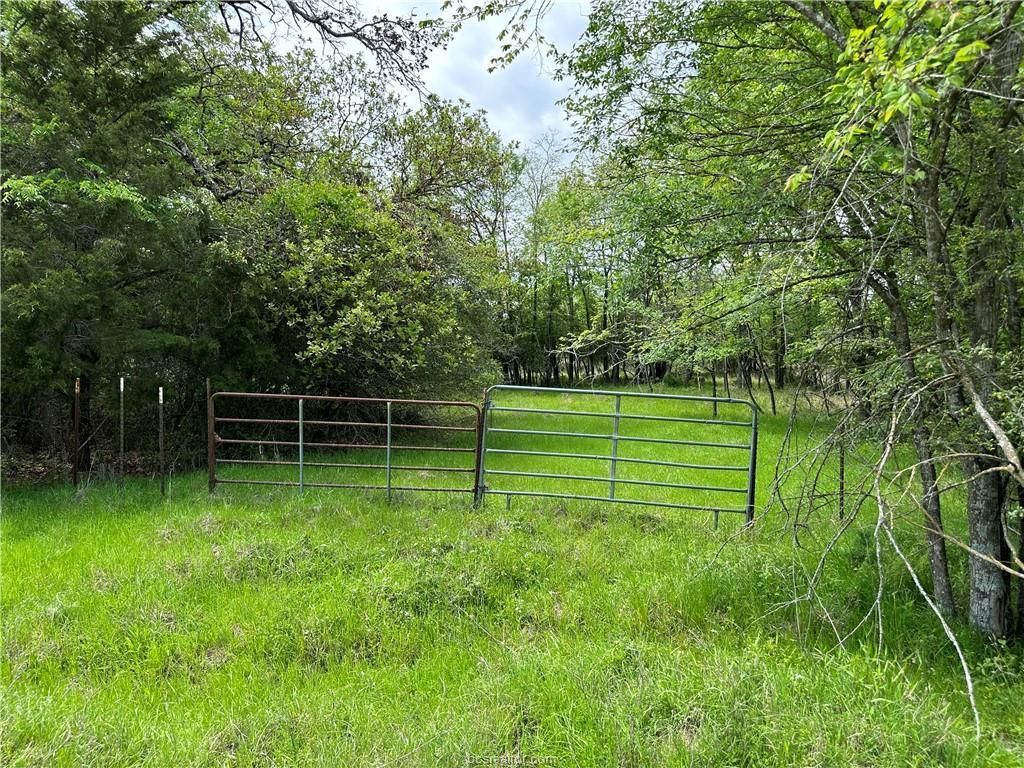 00 Hickory Loop RD, Thornton, TX 76687