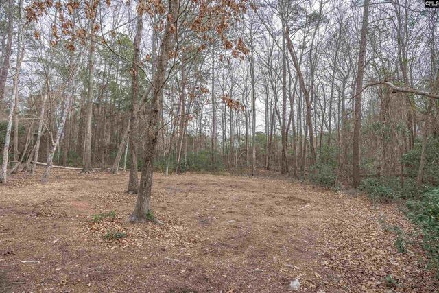 77 Bird Song Lane, Elgin, SC 29045