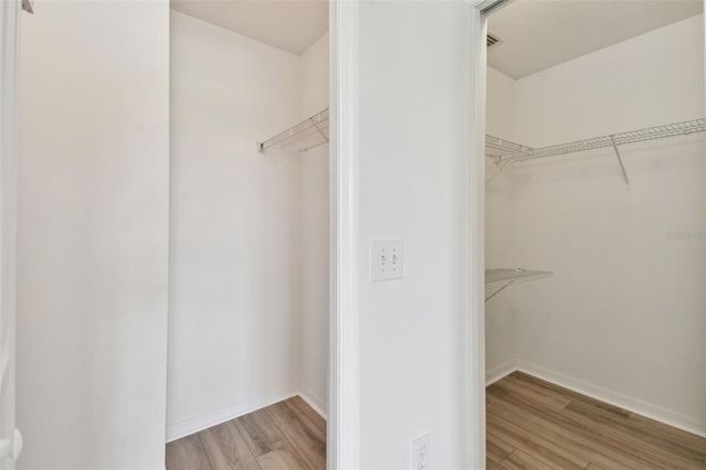 20461 BERRYWOOD LANE, Tampa, FL 33647