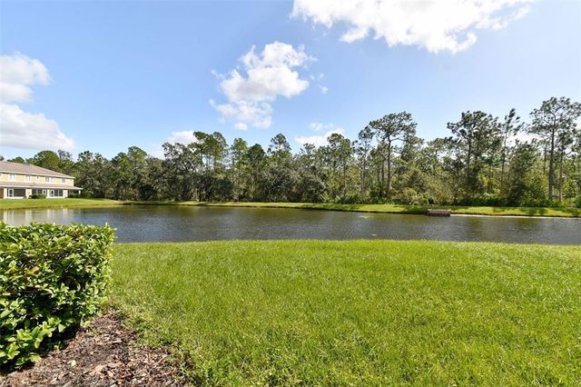 20461 BERRYWOOD LANE, Tampa, FL 33647