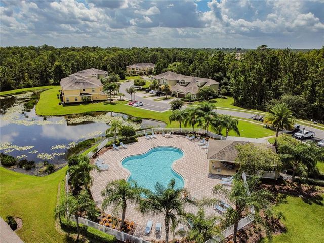 20461 BERRYWOOD LANE, Tampa, FL 33647