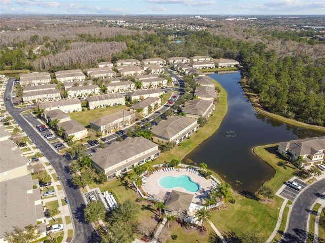 20461 BERRYWOOD LANE, Tampa, FL 33647