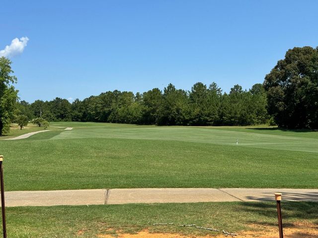 78 Carolina Way, Manning, SC 29102