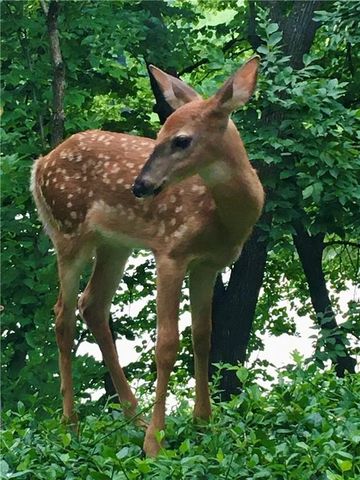 10504 S Highland Lane, Olathe, KS 66061