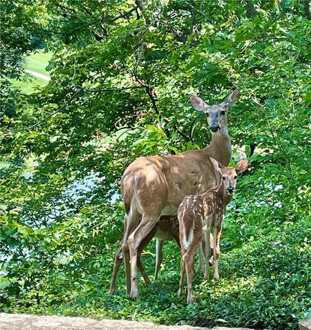 10504 S Highland Lane, Olathe, KS 66061