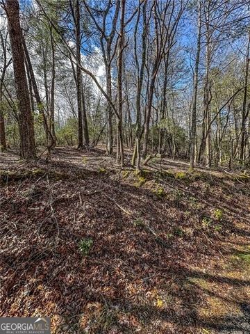 0 TS Jarrard Road, Dahlonega, GA 30533