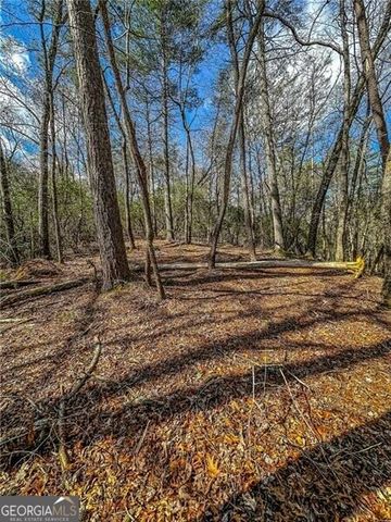 0 TS Jarrard Road, Dahlonega, GA 30533