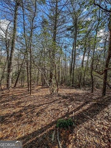 0 TS Jarrard Road, Dahlonega, GA 30533