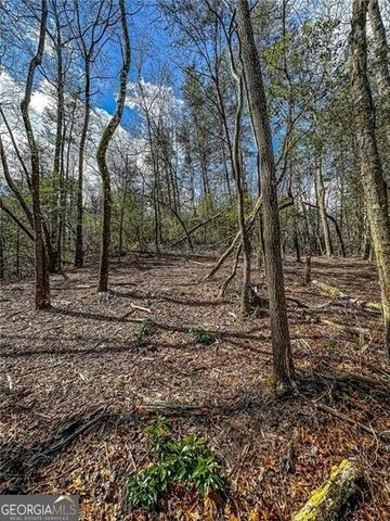 0 TS Jarrard Road, Dahlonega, GA 30533