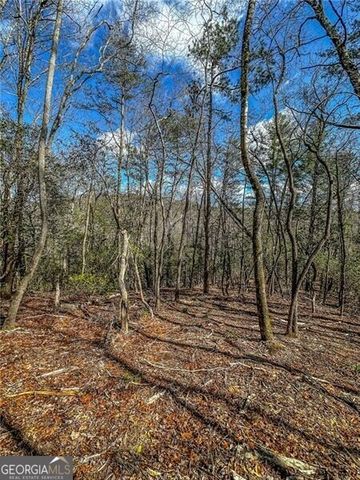 0 TS Jarrard Road, Dahlonega, GA 30533