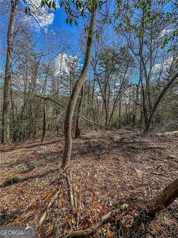 0 TS Jarrard Road, Dahlonega, GA 30533