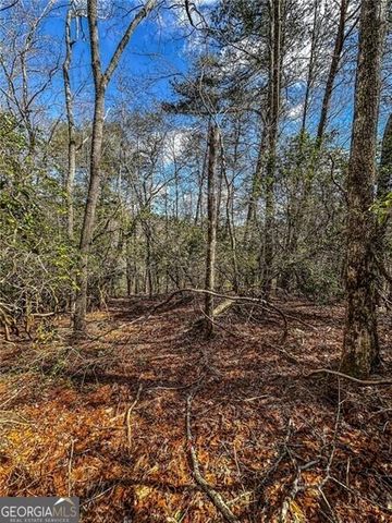 0 TS Jarrard Road, Dahlonega, GA 30533