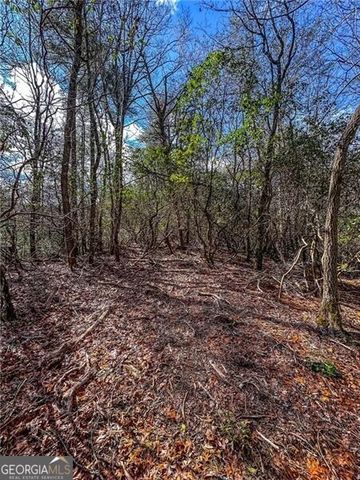 0 TS Jarrard Road, Dahlonega, GA 30533