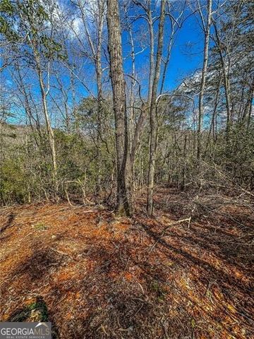 0 TS Jarrard Road, Dahlonega, GA 30533