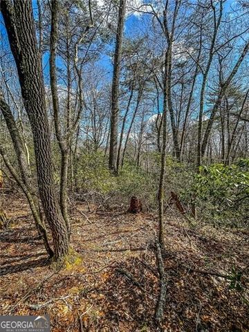 0 TS Jarrard Road, Dahlonega, GA 30533