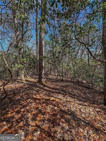 0 TS Jarrard Road, Dahlonega, GA 30533