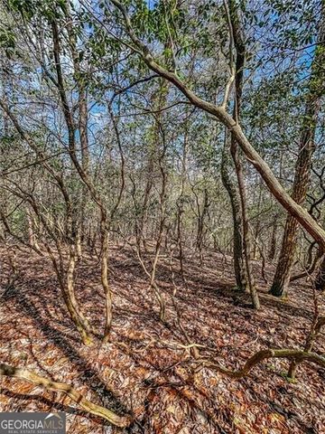 0 TS Jarrard Road, Dahlonega, GA 30533