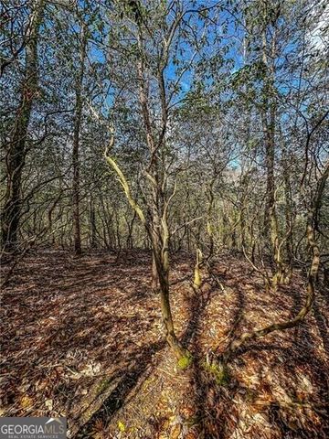 0 TS Jarrard Road, Dahlonega, GA 30533