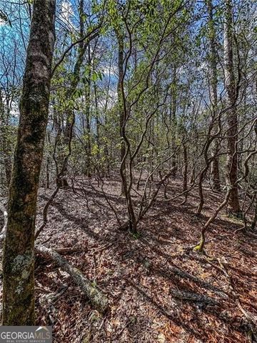 0 TS Jarrard Road, Dahlonega, GA 30533