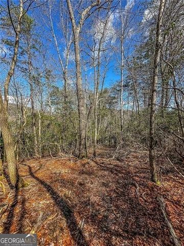 0 TS Jarrard Road, Dahlonega, GA 30533