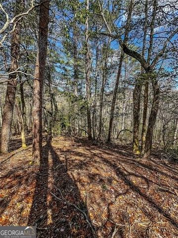 0 TS Jarrard Road, Dahlonega, GA 30533