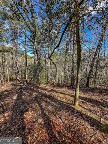 0 TS Jarrard Road, Dahlonega, GA 30533