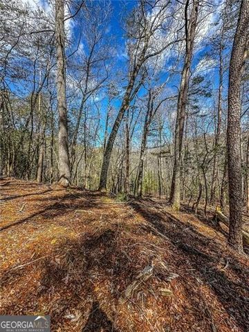 0 TS Jarrard Road, Dahlonega, GA 30533