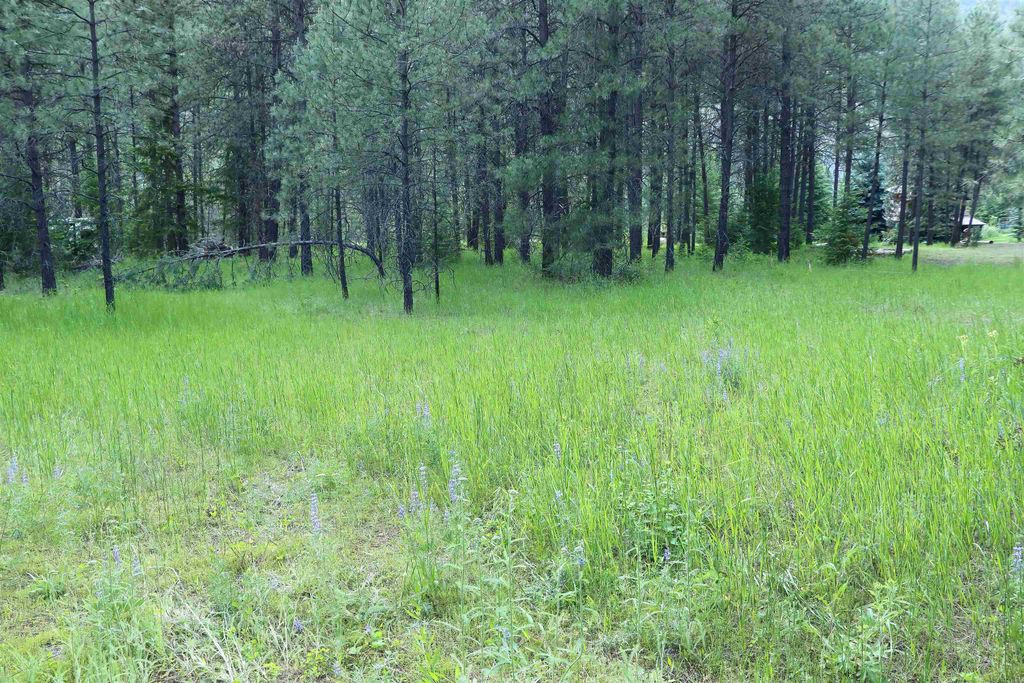 3733 C Sand Creek Rd, Kettle Falls, WA 99141 photo 11