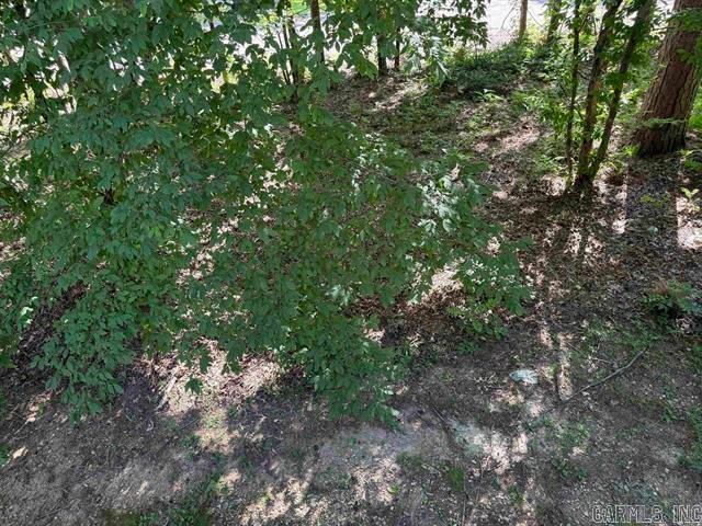 8 Cortez Lane, Hot Springs Village, AR 71909