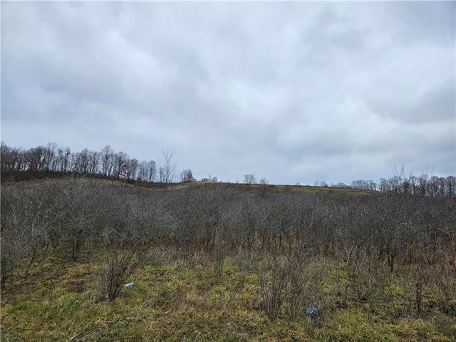 0 State Route 168, South Beaver Twp, PA 16115